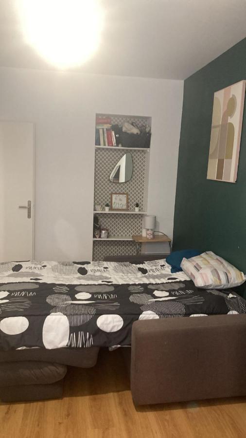 Chambre En Appartement Haussmannien En Centre Ville 圣艾蒂安 外观 照片